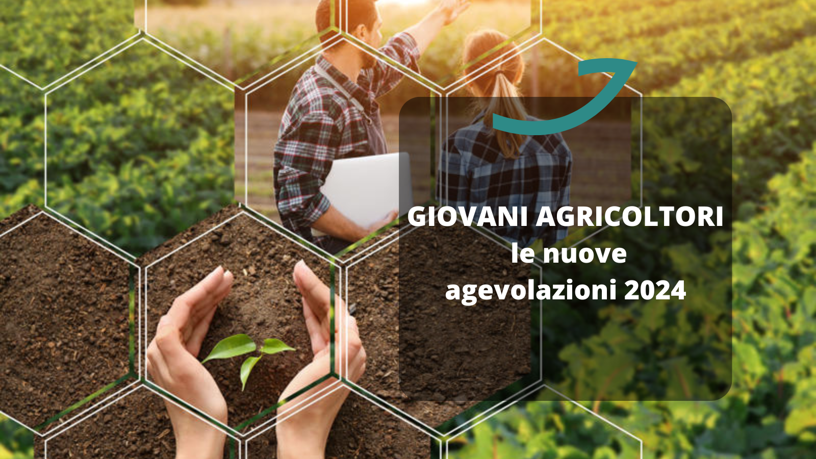 giovani agricoltori 2024